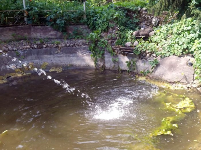 Очистка пруда и водоема от нитчатых водорослей.